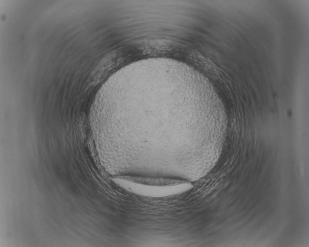 X0000067481012200605051707