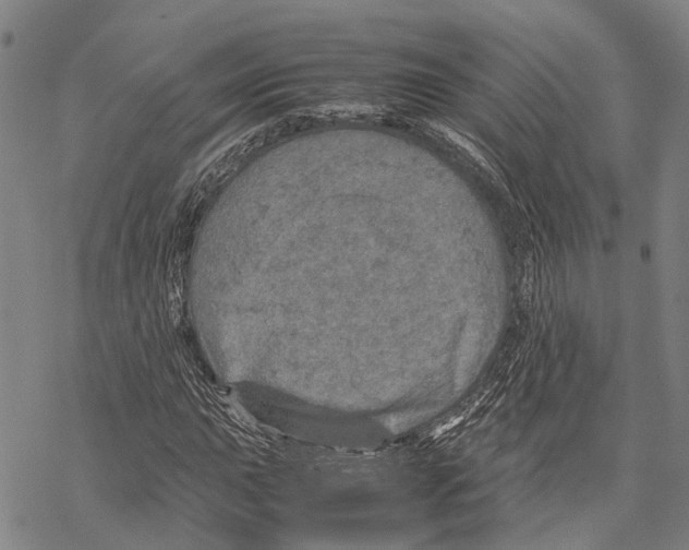 X0000067481015200605051707