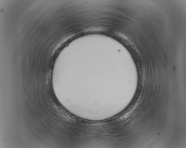 X0000067481017200605051707