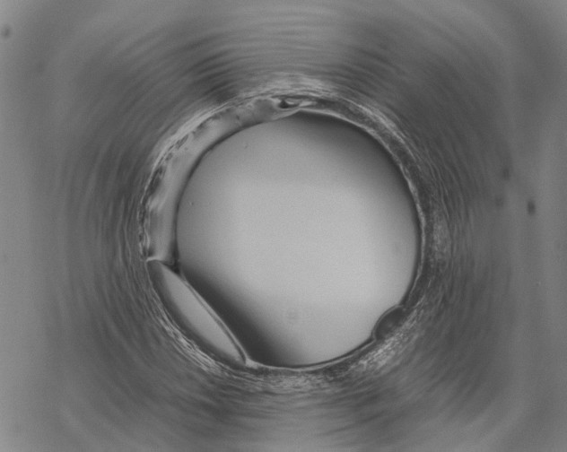 X0000067481018200605051707