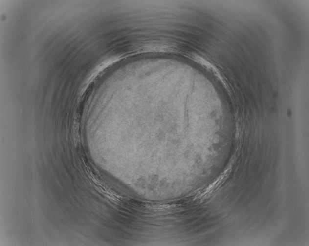 X0000067481019200605051707