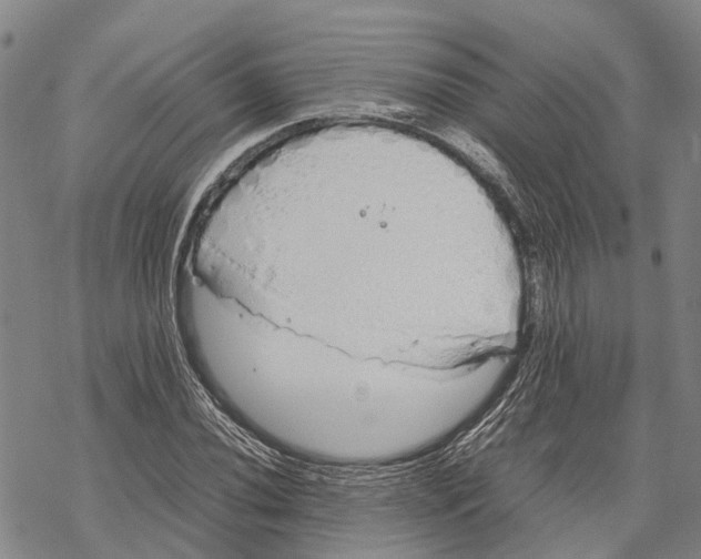 X0000067481020200605051707