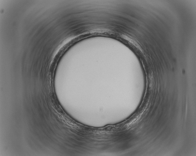 X0000067481021200605051707