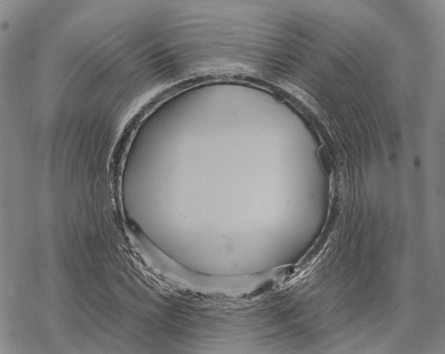 X0000067481022200605051707