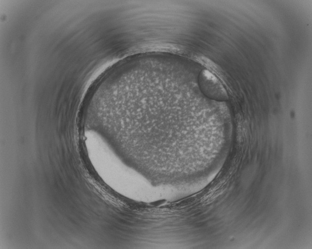 X0000067481024200605051707