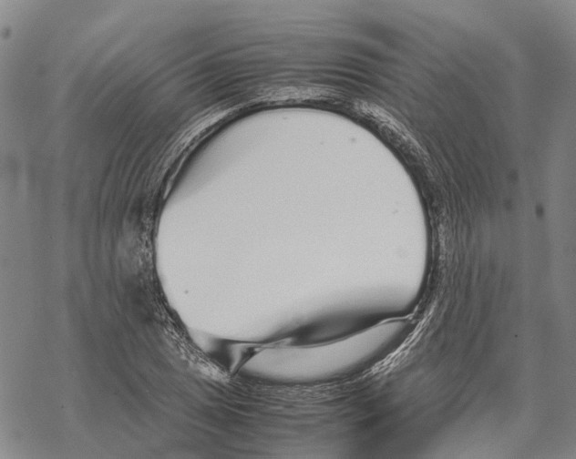 X0000067481025200605051707