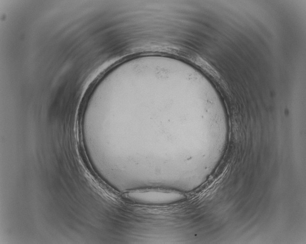 X0000067481028200605051707