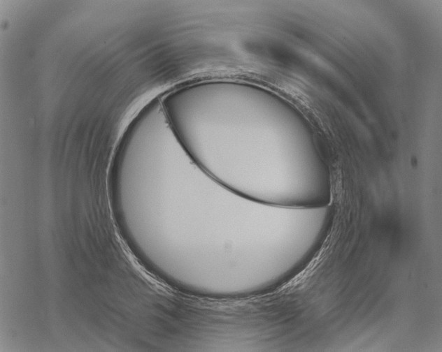 X0000067481030200605051707