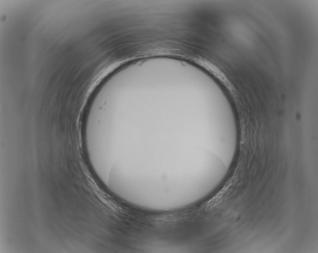 X0000067481031200605051707