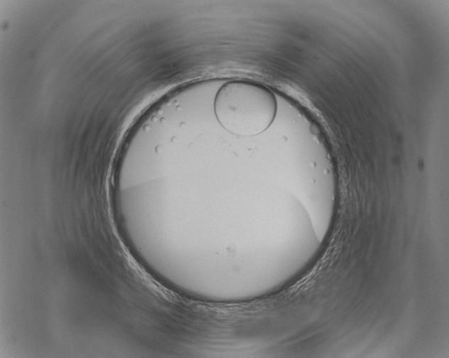 X0000067481032200605051707