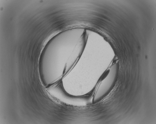 X0000067481034200605051707