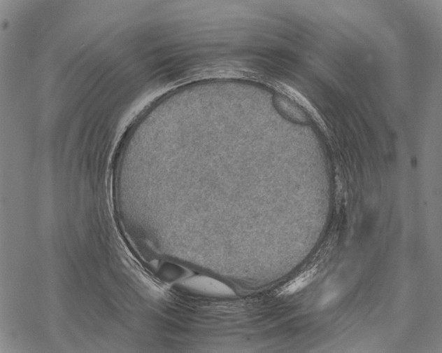 X0000067481035200605051707