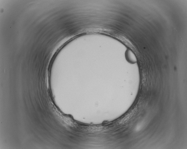 X0000067481036200605051707