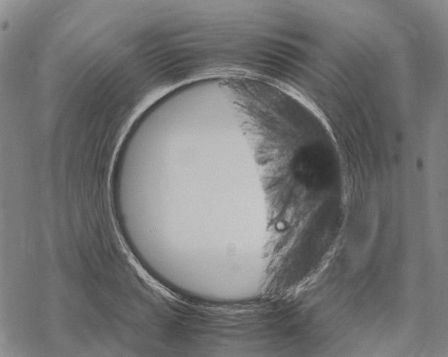 X0000067481037200605051707