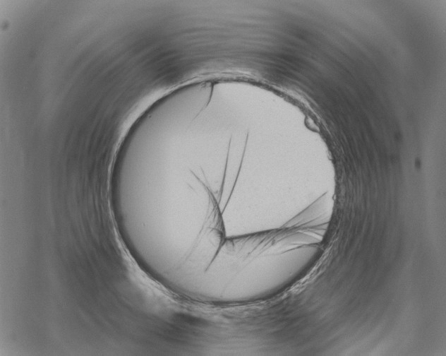 X0000067481038200605051707