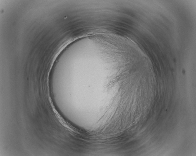 X0000067481039200605051707