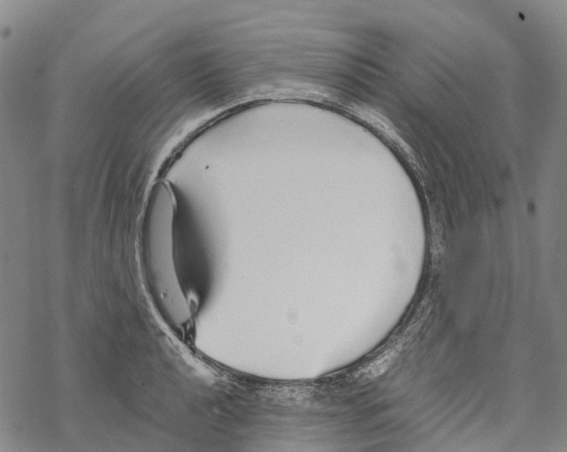 X0000067481040200605051707