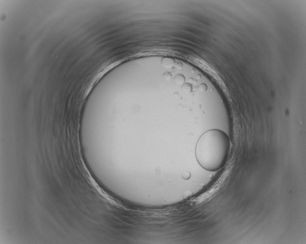 X0000067481041200605051707