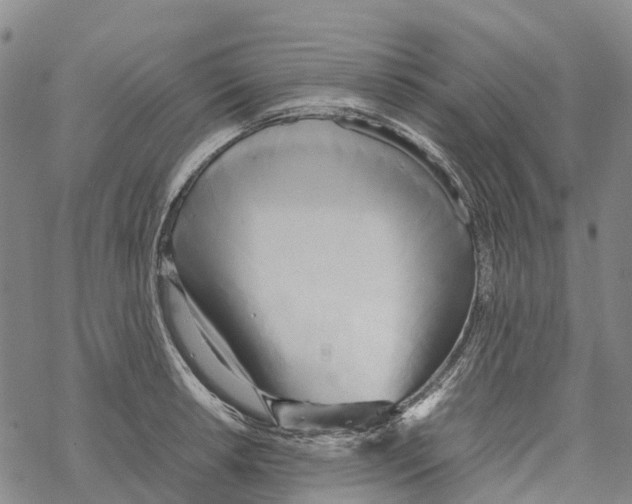 X0000067481042200605051707