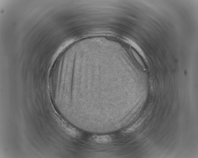 X0000067481043200605051707