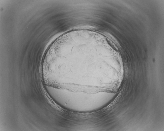 X0000067481044200605051707