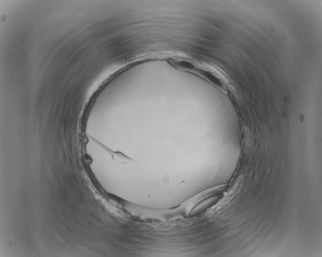 X0000067481046200605051707