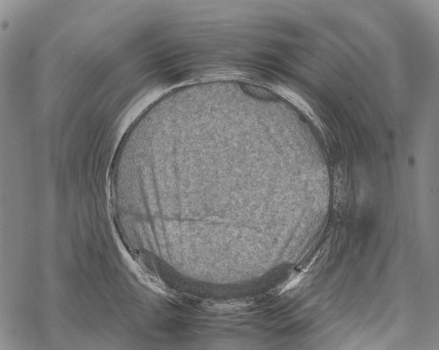 X0000067481047200605051707