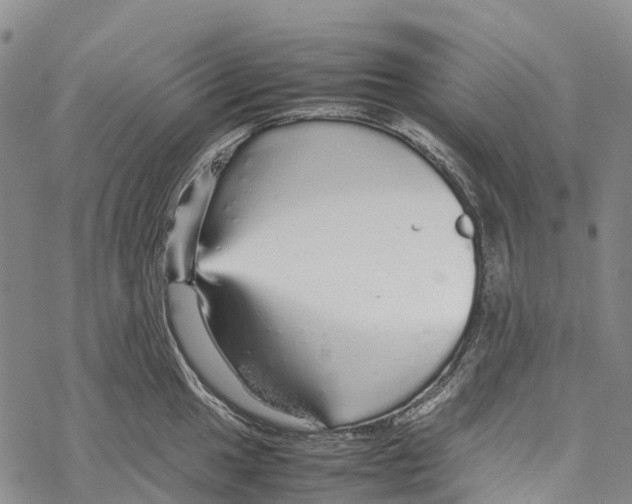 X0000067481049200605051707