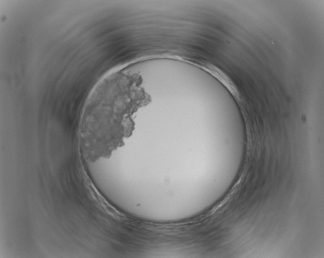 X0000067481052200605051707