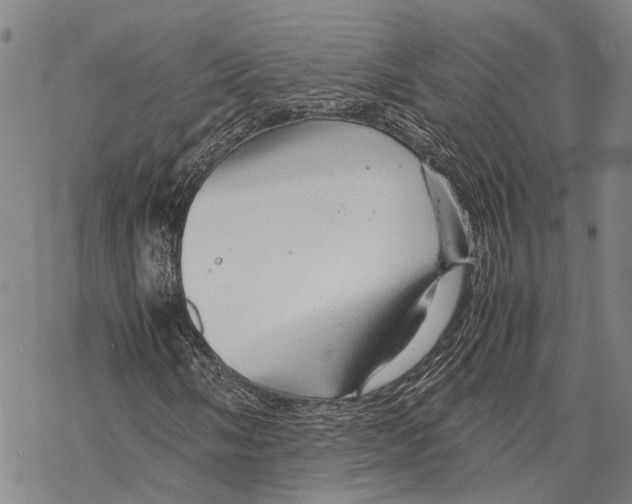 X0000067481058200605051707