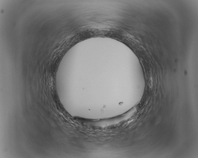 X0000067481061200605051706