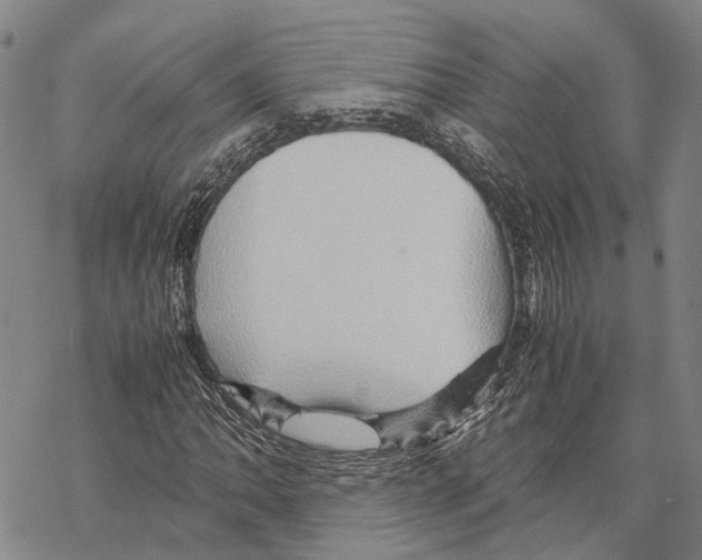 X0000067481062200605051706