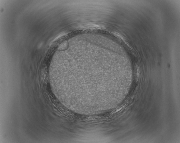 X0000067481063200605051706