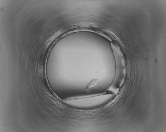 X0000067481065200605051706