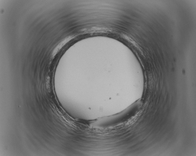 X0000067481066200605051706