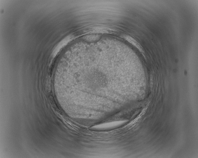 X0000067481067200605051706