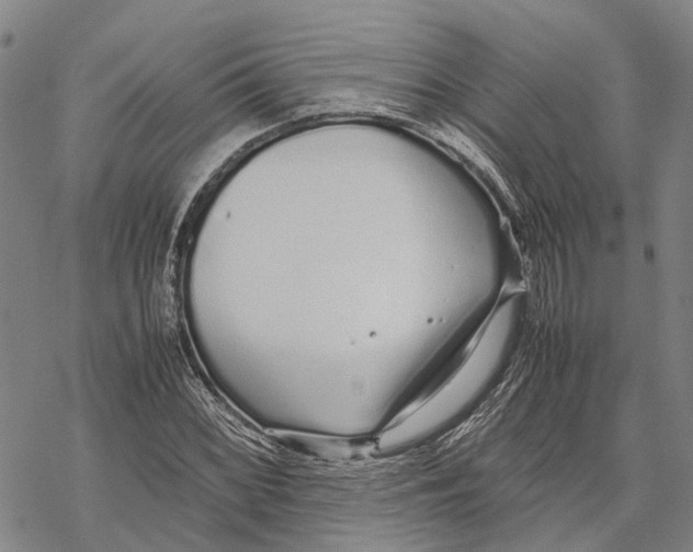 X0000067481068200605051706