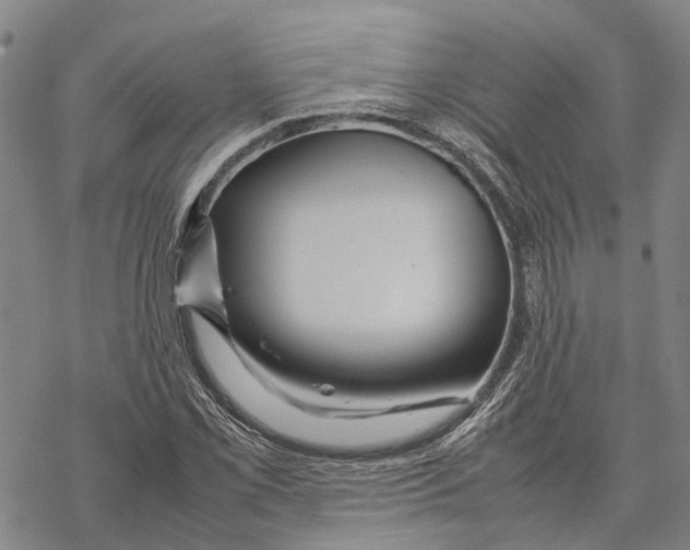 X0000067481069200605051706