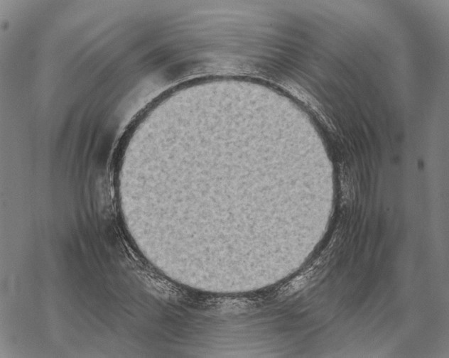 X0000067481070200605051706