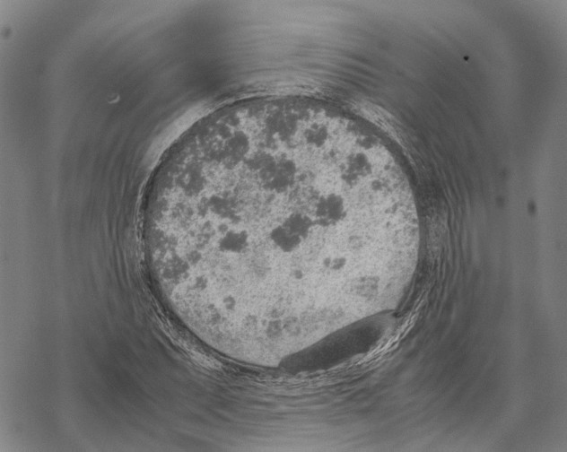 X0000067481071200605051706