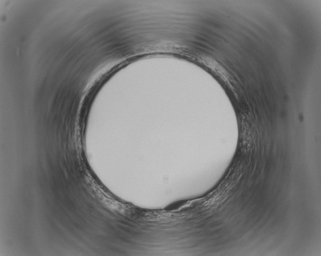 X0000067481072200605051706