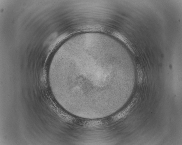 X0000067481074200605051706