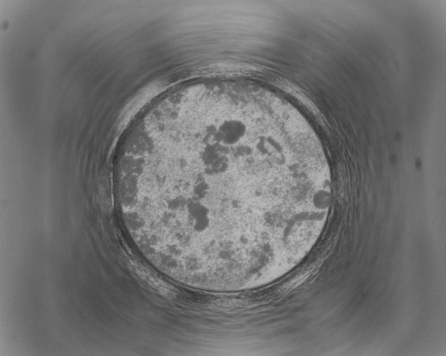 X0000067481075200605051706