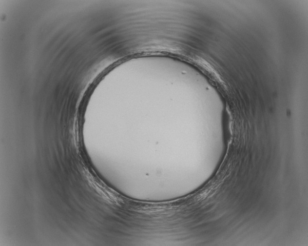 X0000067481076200605051706