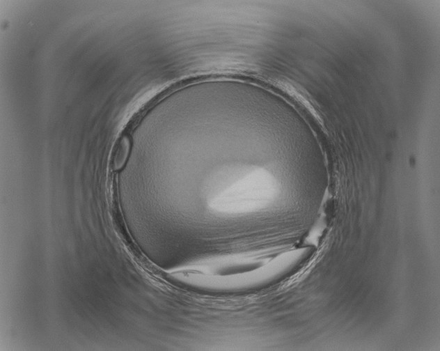 X0000067481077200605051706