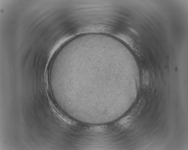 X0000067481078200605051706