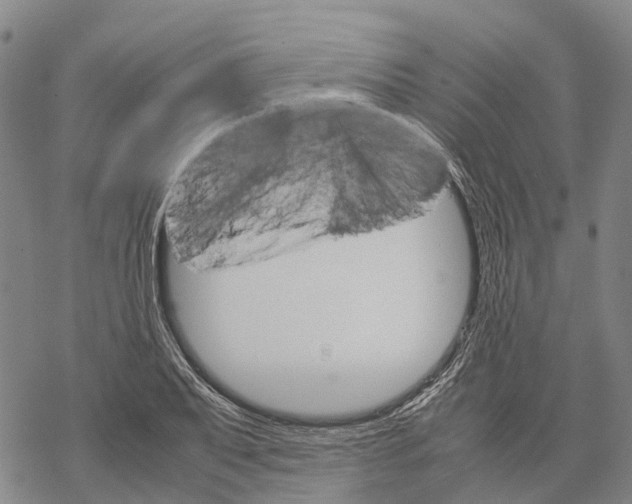 X0000067481079200605051706