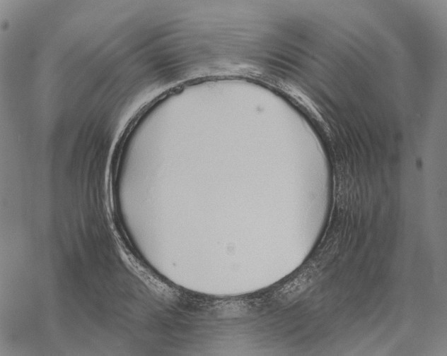 X0000067481080200605051706