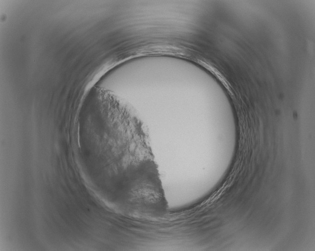 X0000067481083200605051706