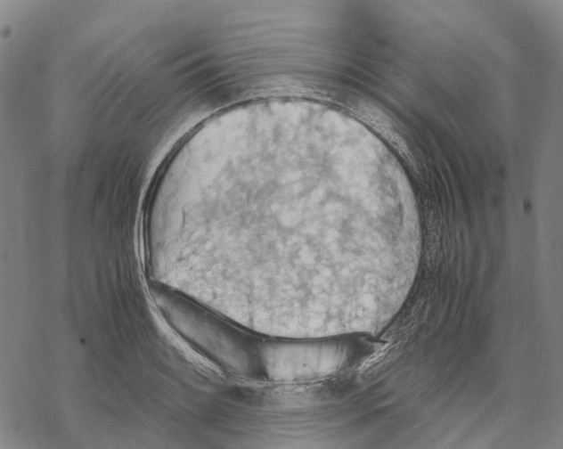 X0000067481084200605051706